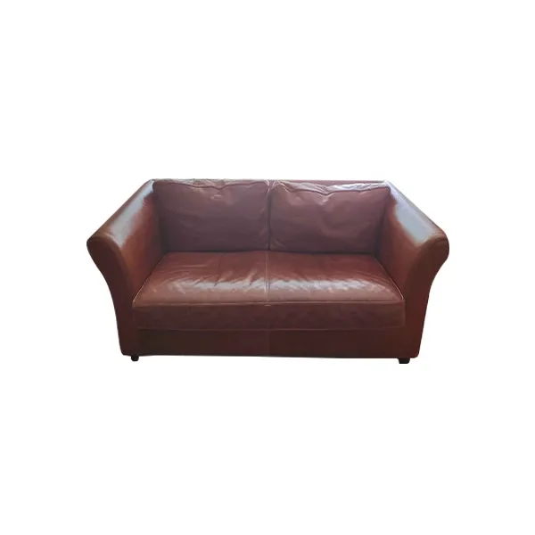 2 seater leather sofa (brown) 2