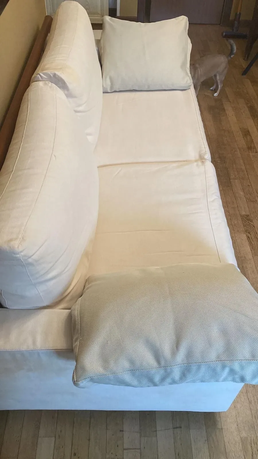 Sofa in white fabric, Flexform 5