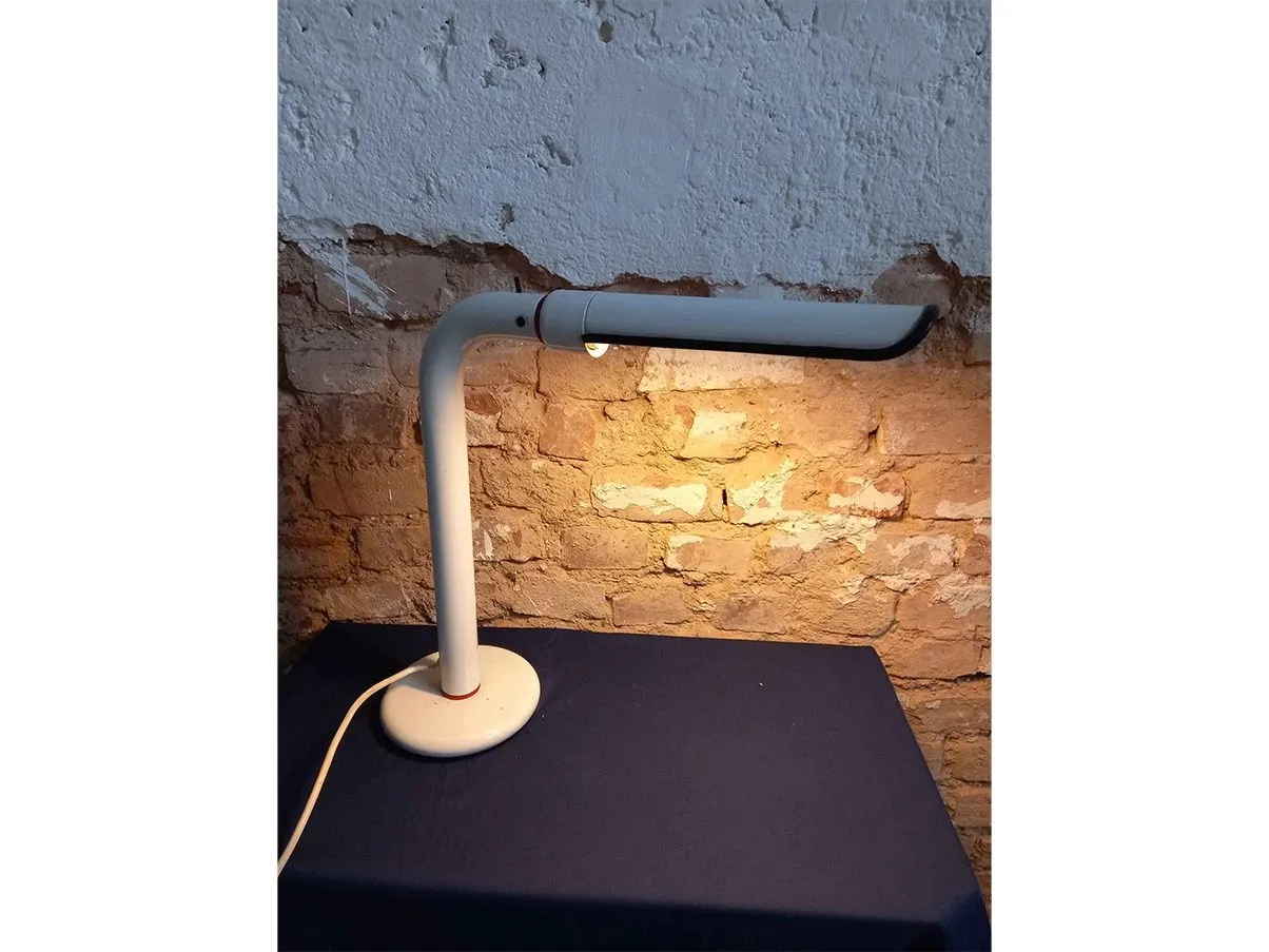 Set di 2 lampade anni '80 Pellicano 8