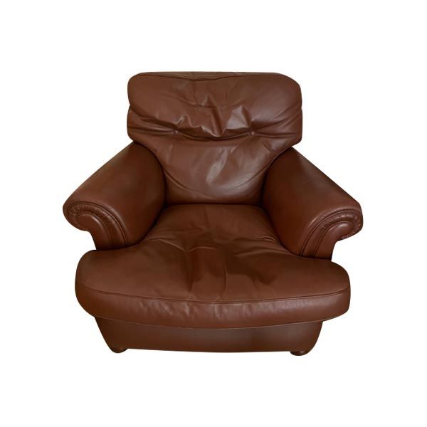 Vintage Edoardo armchair in brown leather, Poltrona Frau image