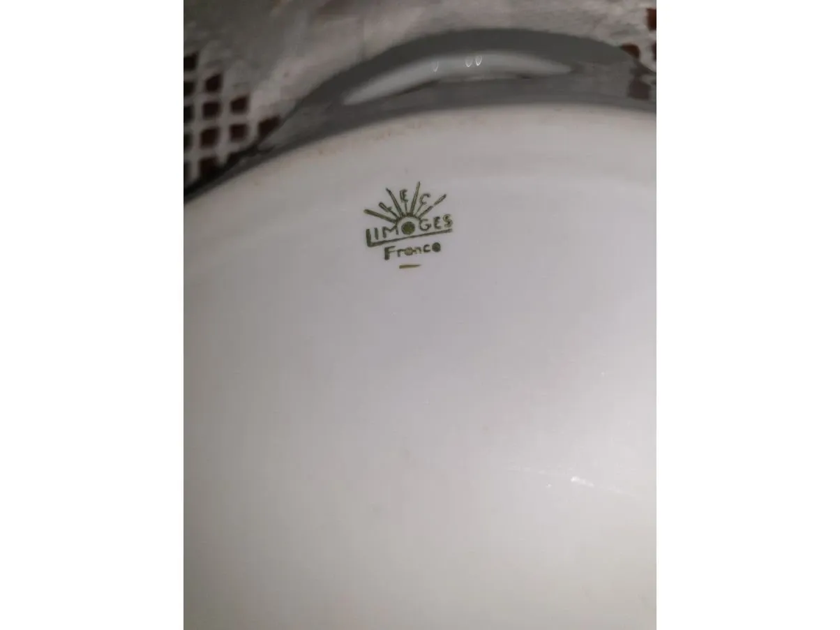 Vintage rectangular porcelain plate, Limoges 1
