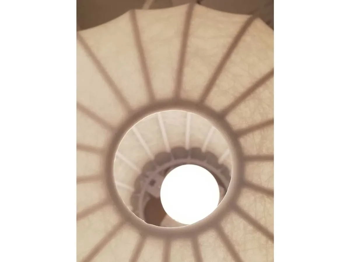 Lampada da tavolo Gatto dei fratelli Castiglioni (bianco) 1