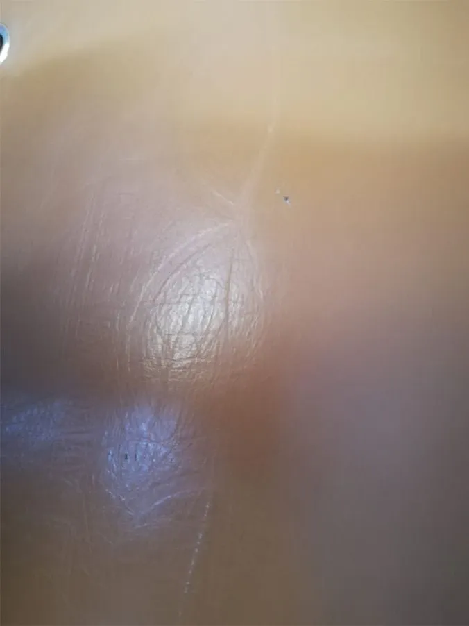 Iconic armchair Joe in brown leather (1970s), Poltronova 10