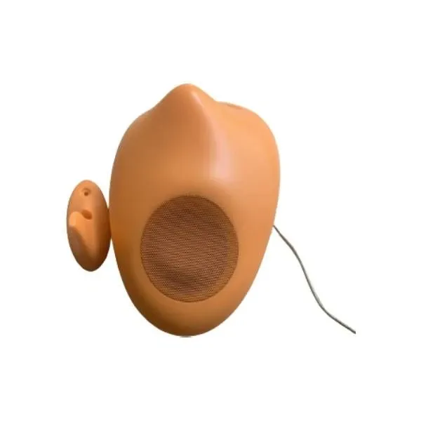 Radio Mosk arancione di Olivet, Alessi 