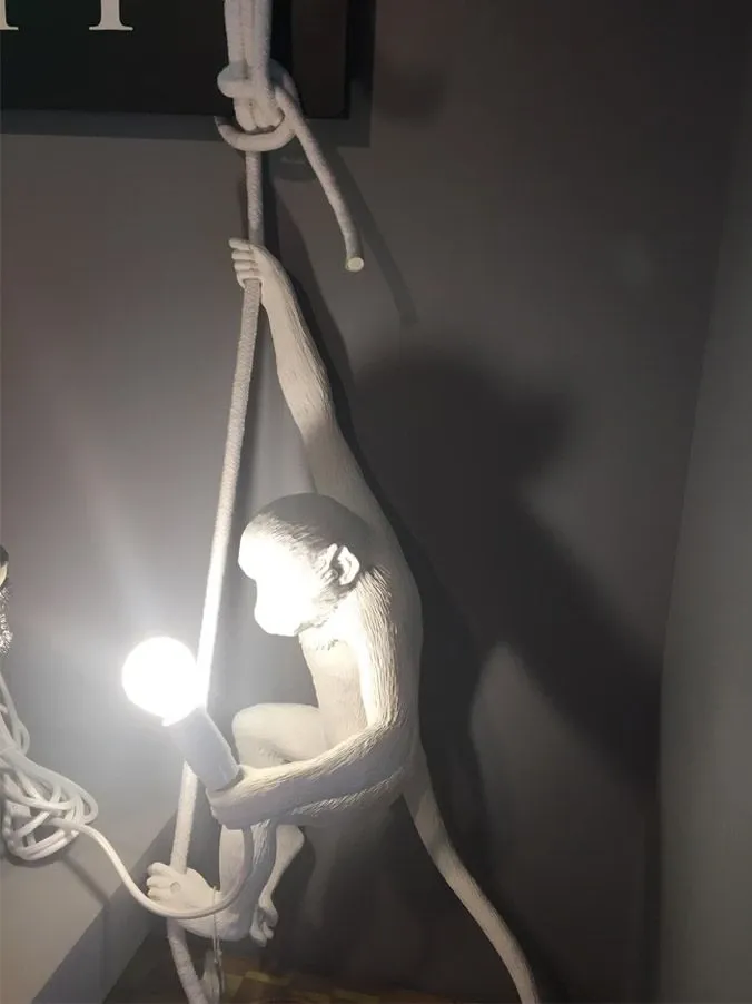 The Monkey Lamp Ceiling 