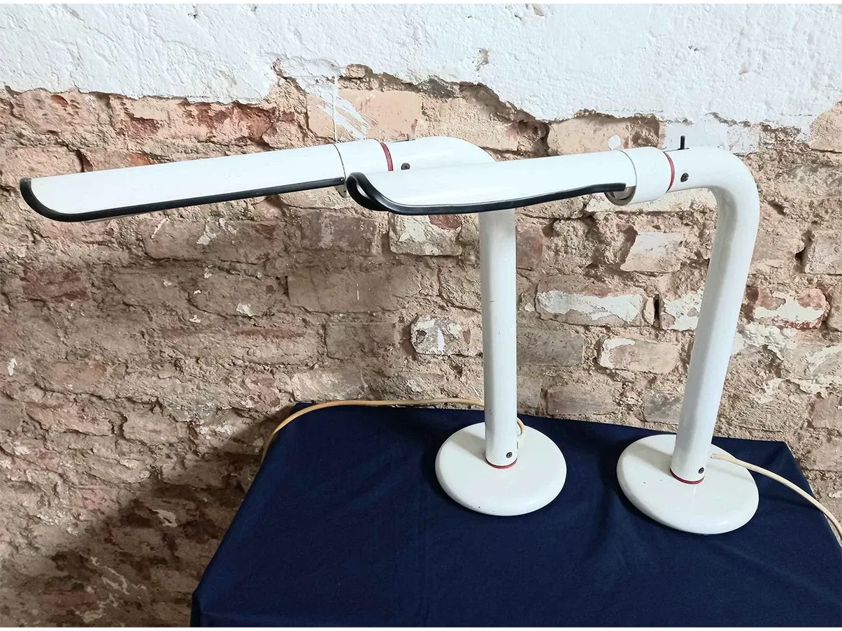 Set di 2 lampade anni '80 Pellicano 4