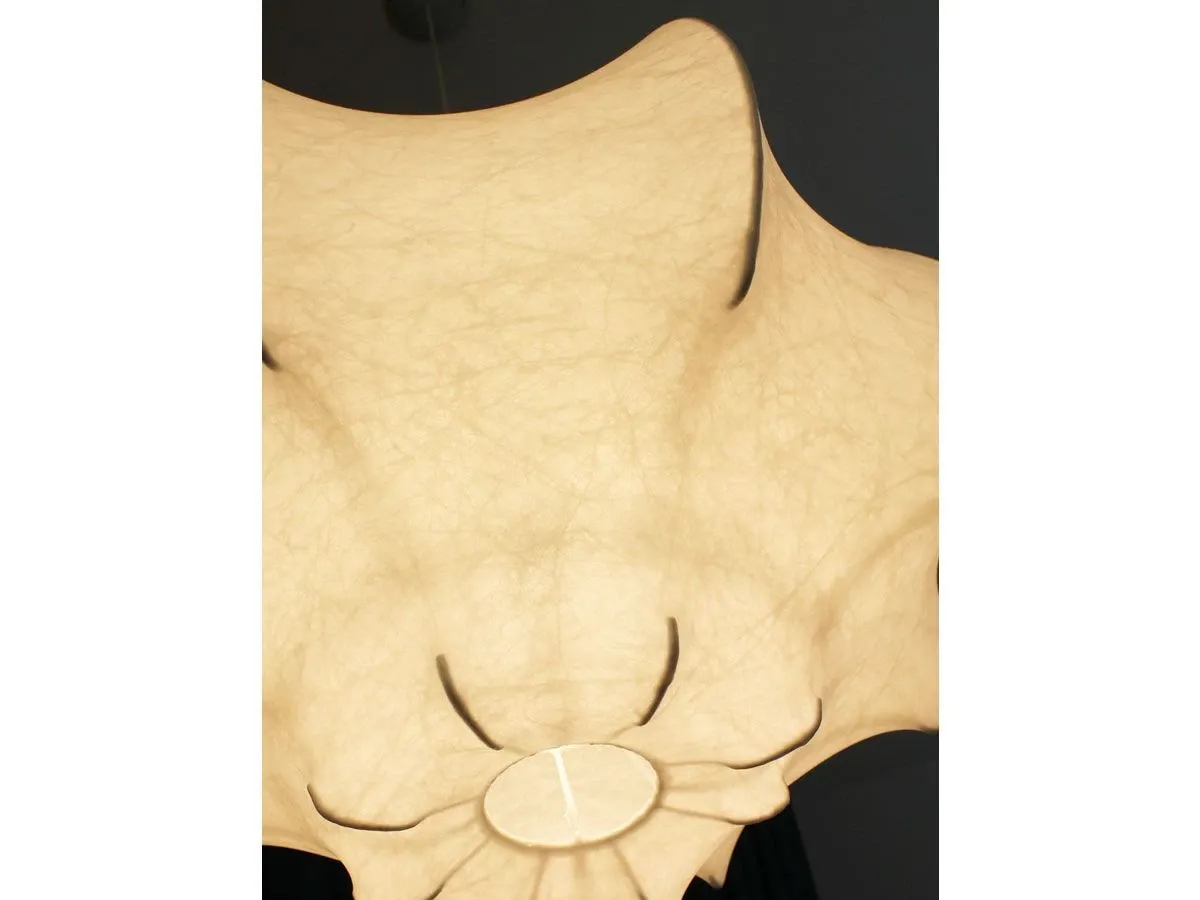 Viscontea, Flos 6