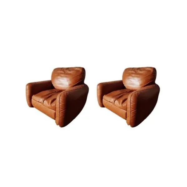 Set of 2 Piumotto armchairs in leather, Busnelli image