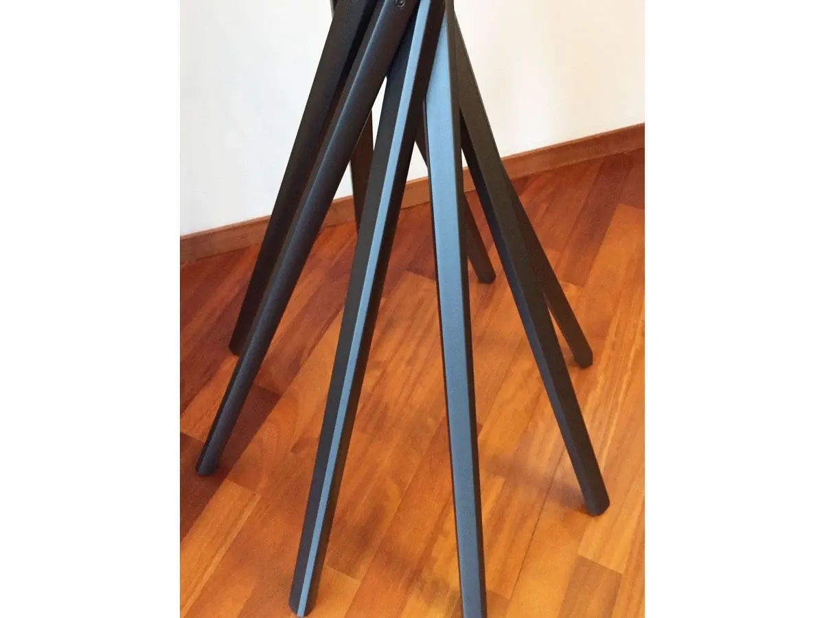 Sciangai (faggio nero), Zanotta 6