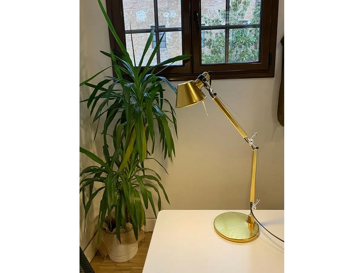 Lampada da tavolo Tolomeo Micro alluminio (oro), Artemide 4