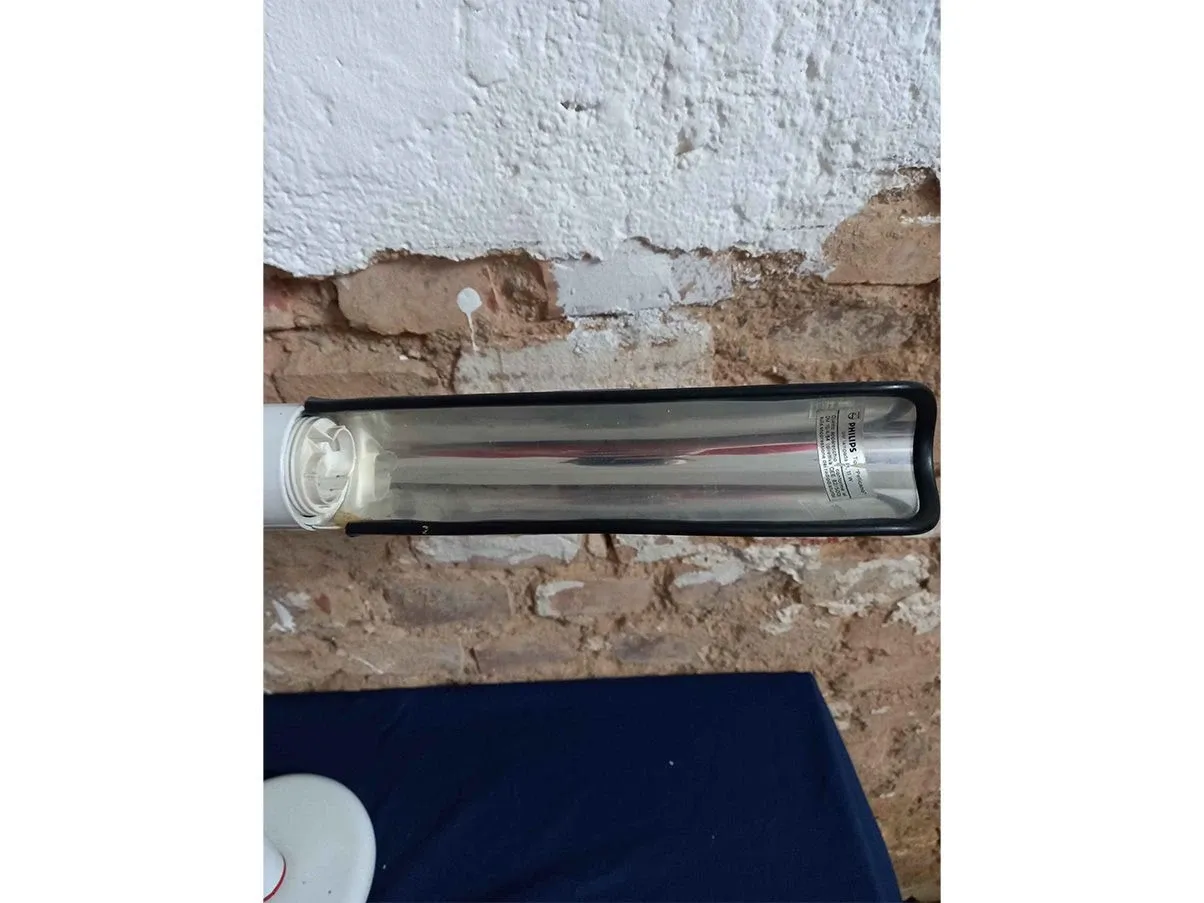 Set di 2 lampade anni '80 Pellicano 2