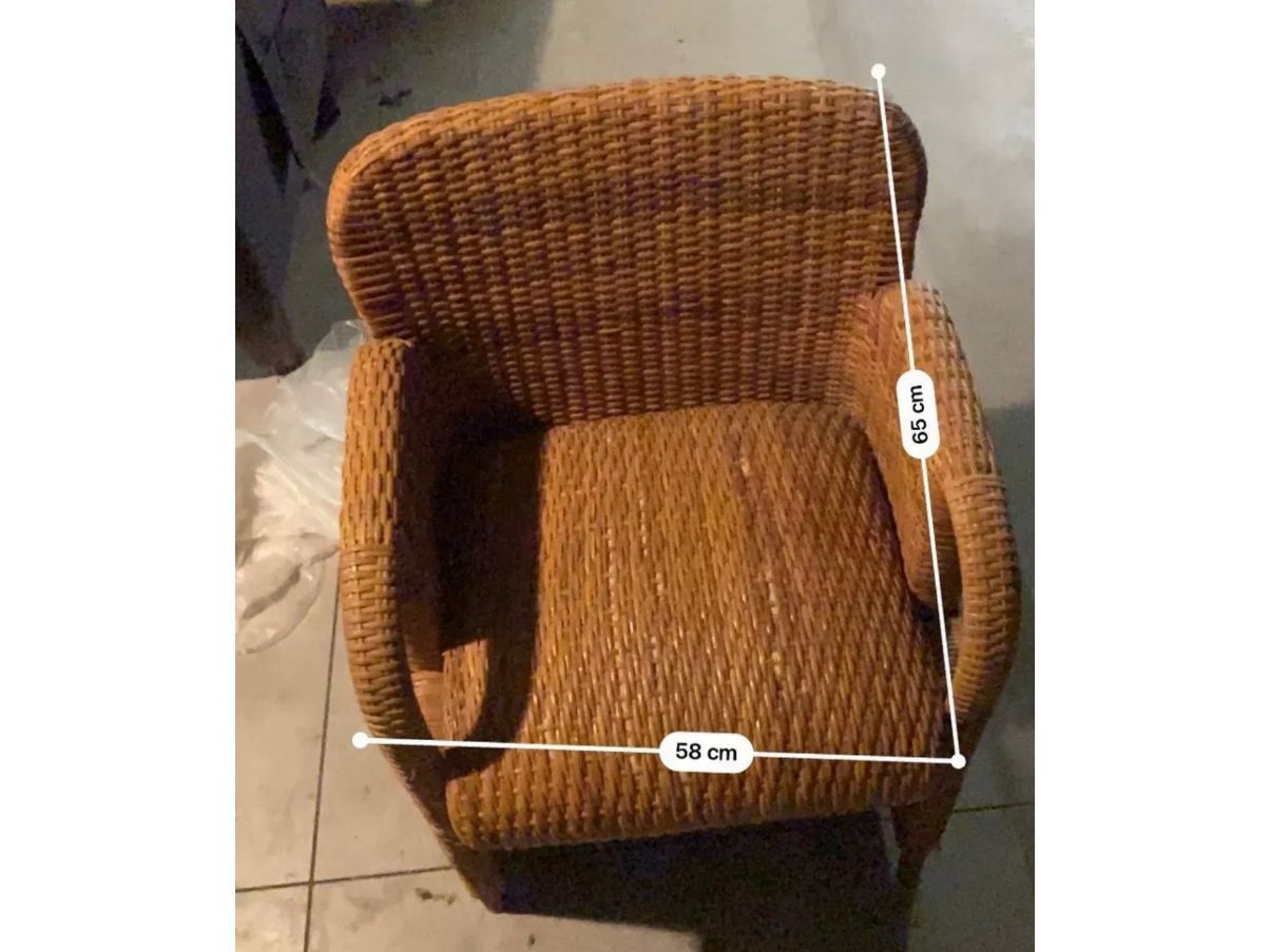 Set di 2 Poltrone in canna d’india design Gae Aulenti, Tecno Defects
