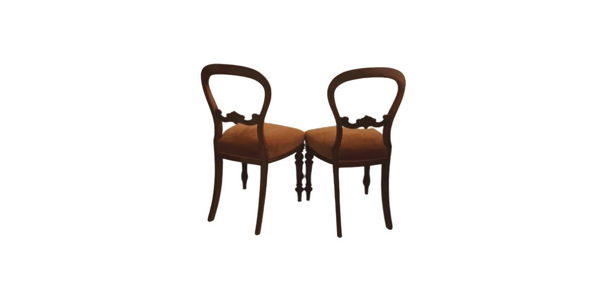 Set of 2 chairs in mahogany and velvet image