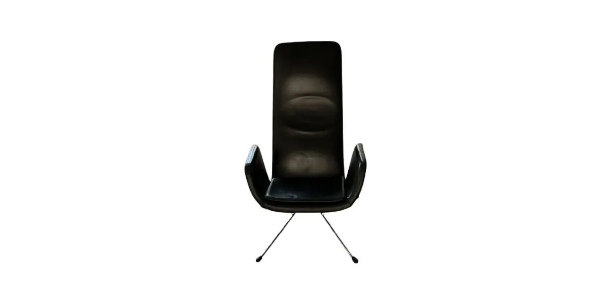 Mylord armchair in black leather by Alfredo Häberli, Zanotta image
