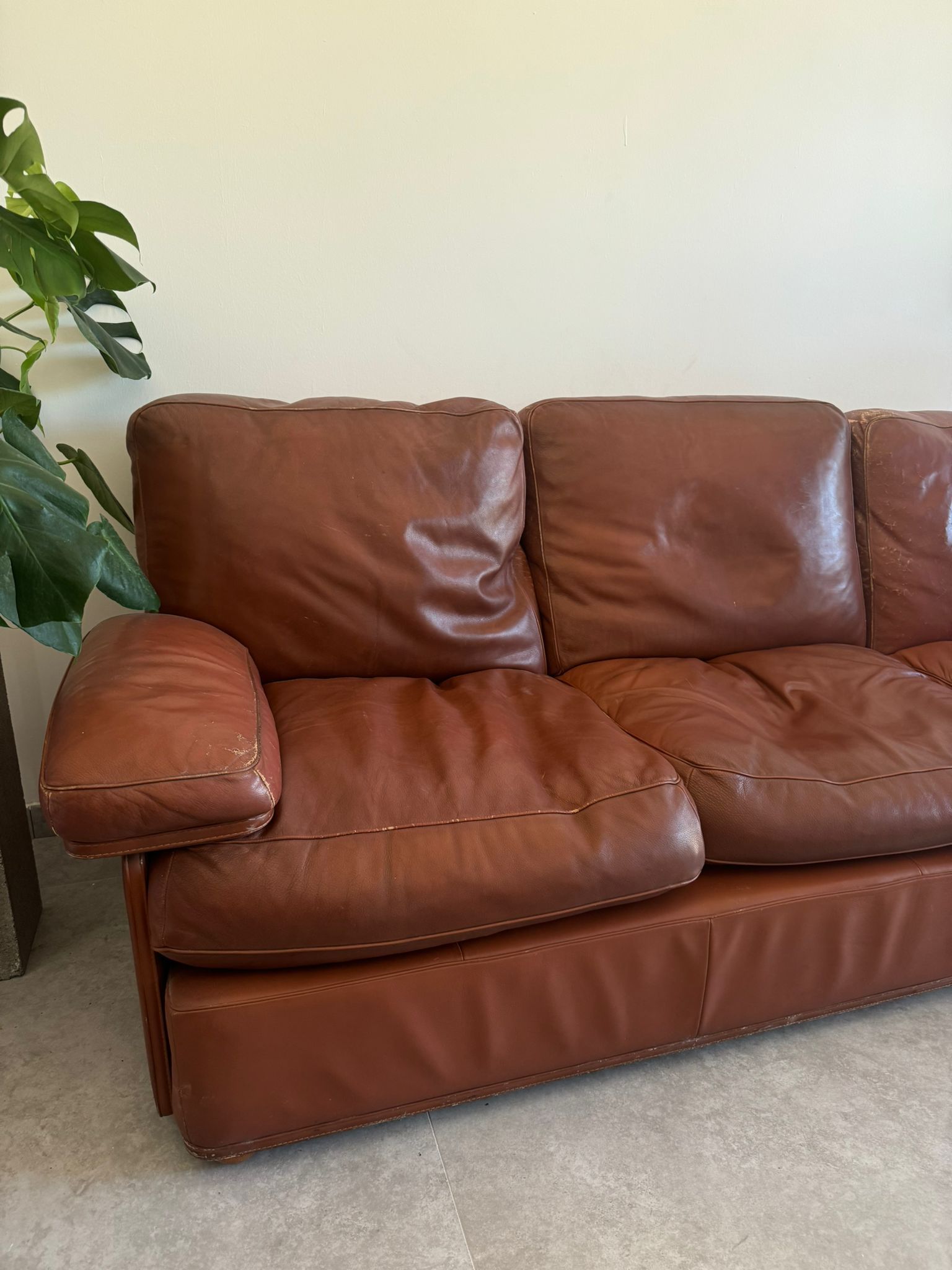 Set divano 3 posti e 2 posti in pelle  Front