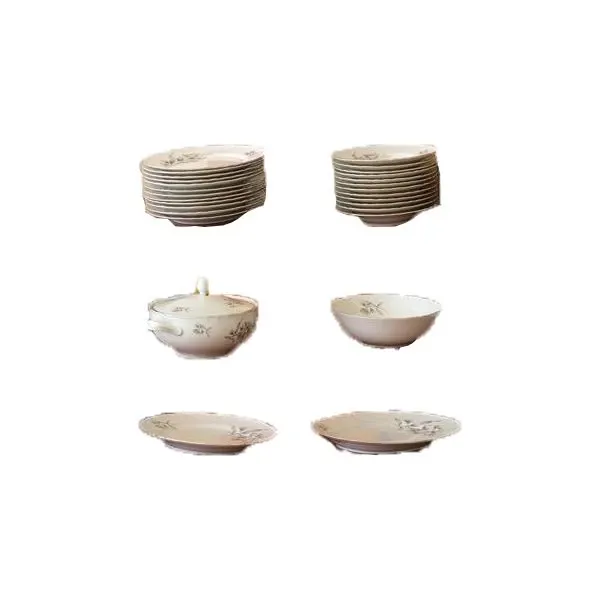 Vintage porcelain dinner set, Richard Ginori 