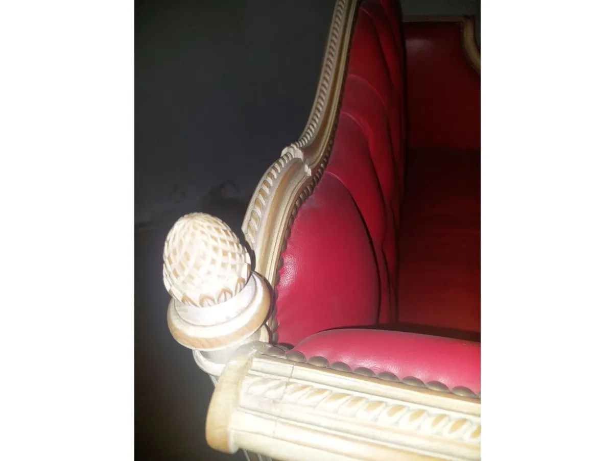 Vintage sofa in red leather (1960s), 5