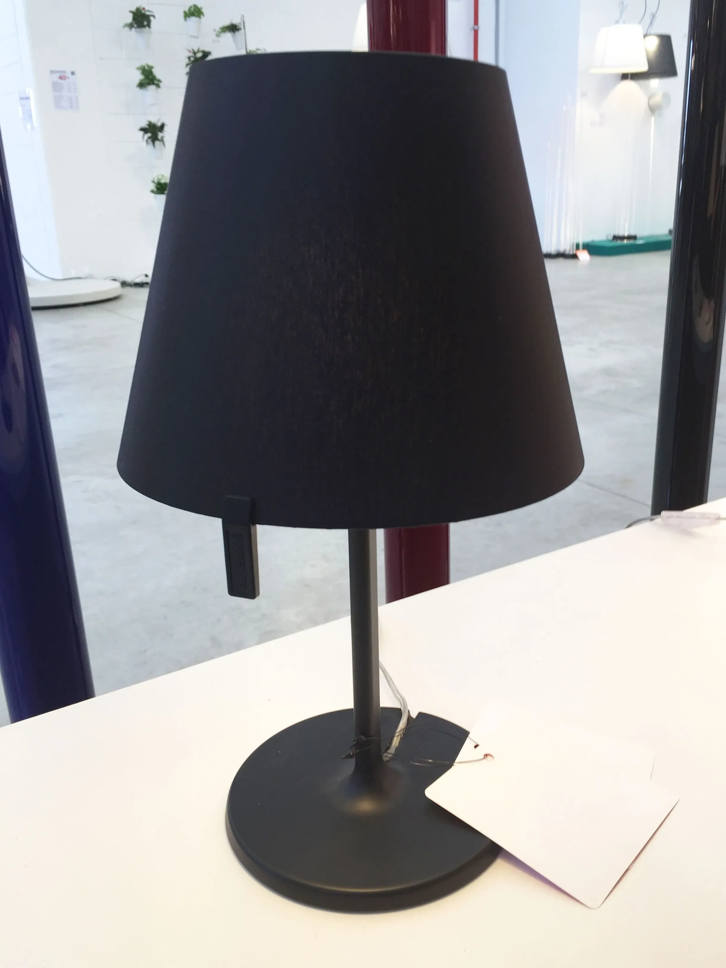 Melampo notte, Artemide 4