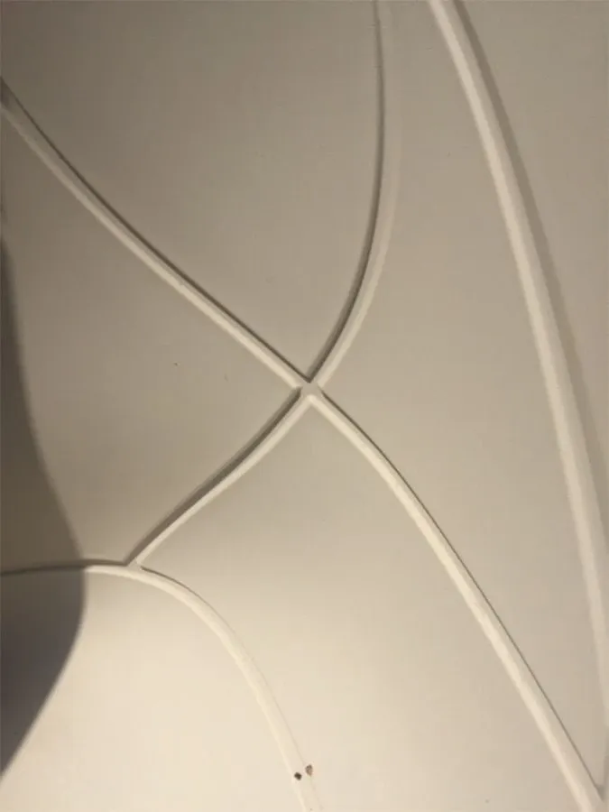 Nemo (bianco), Driade 5