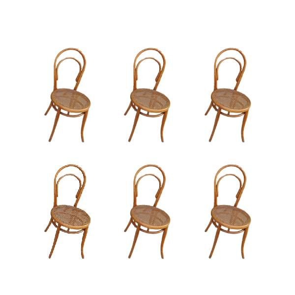 Set 6 sedie in legno curvato, Thonet image