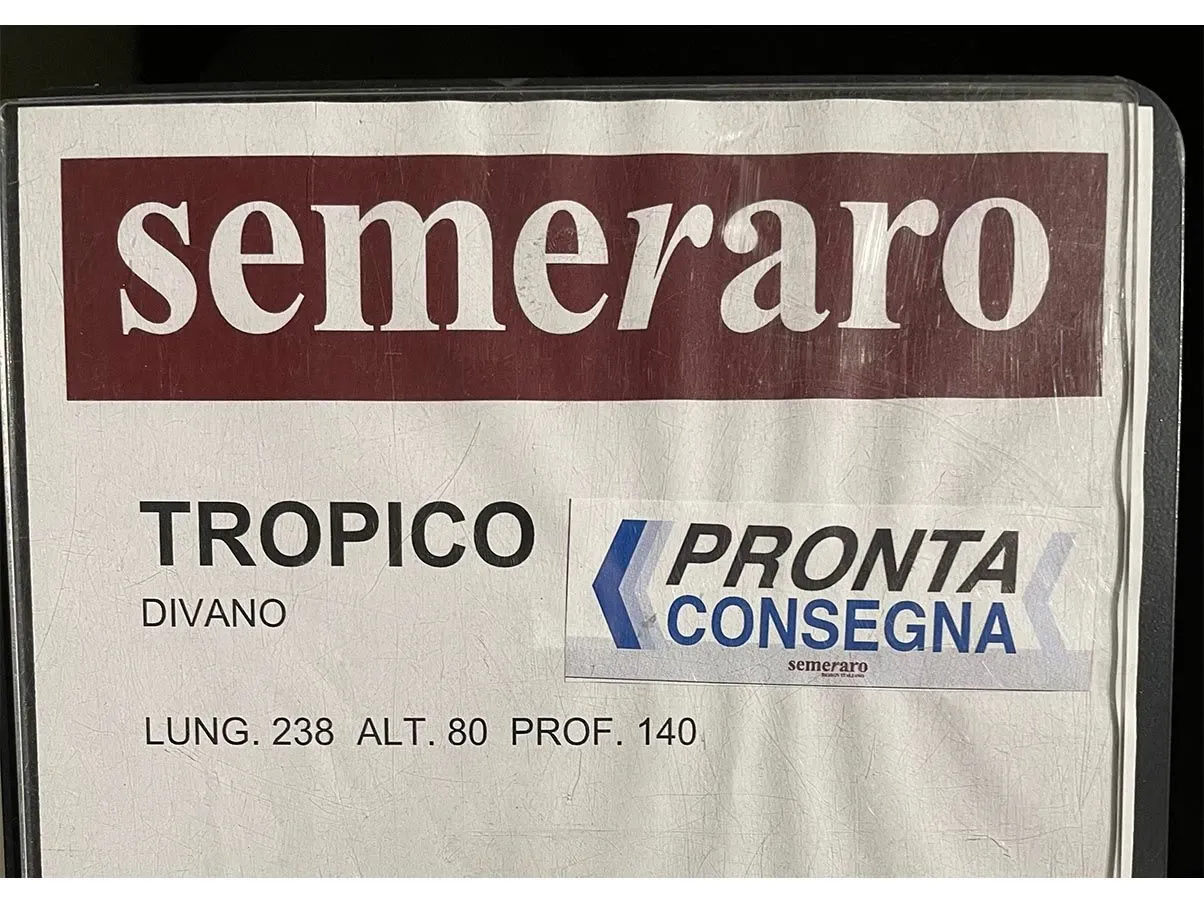 Divano Tropico con 8 cuscini in stoffa (grigio) 4