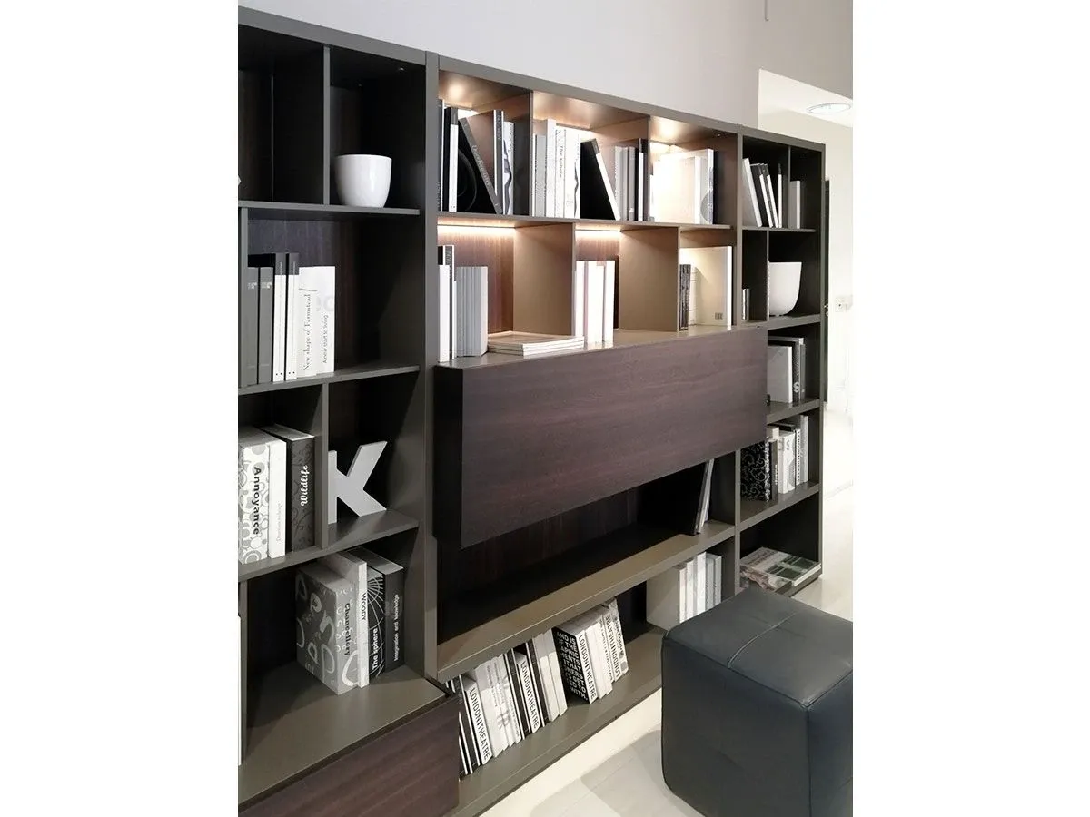 Wall System Bookcase wood, Poliform 2