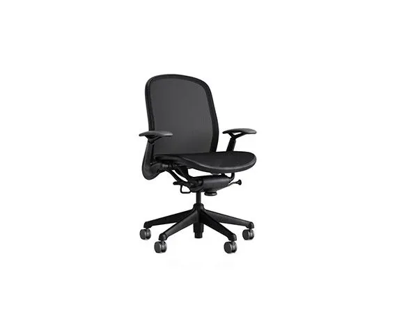 Chadwick Ergonomic Chair by Don Chadwick 4