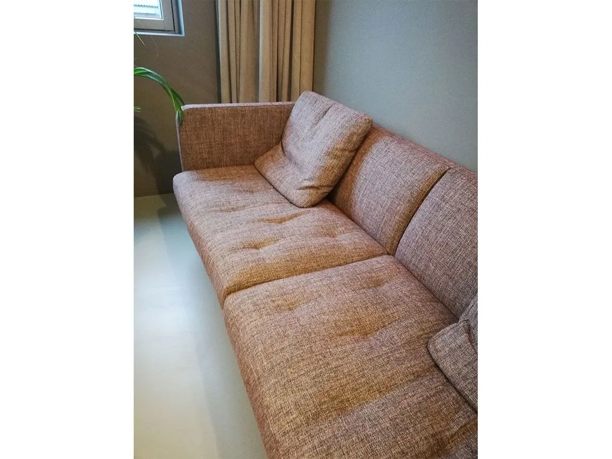 2-Sitzer Sofa Easy Lipp aus Stoff (bordeaux) 2