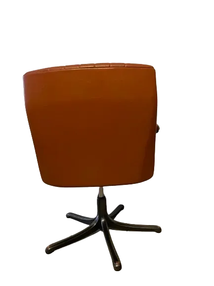 2 Poltrone P126 Osvaldo Borsani, Tecno  4