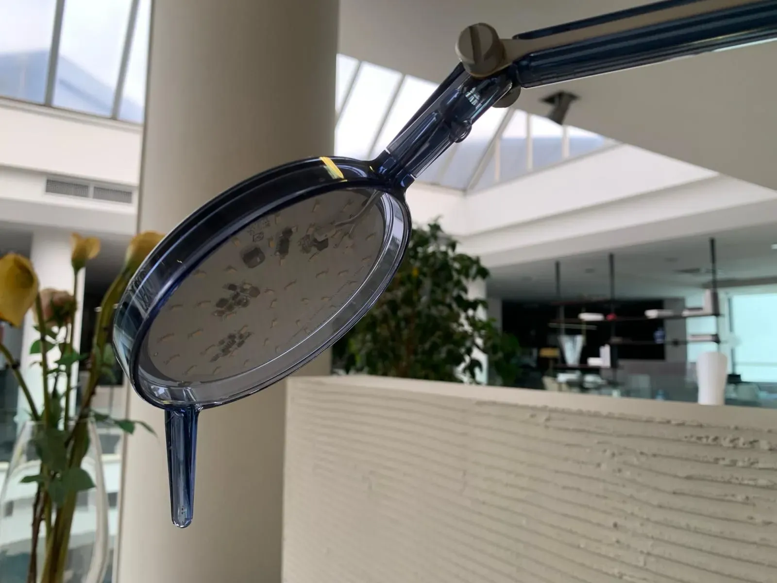 Aledin Tec Blue Table Lamp Front