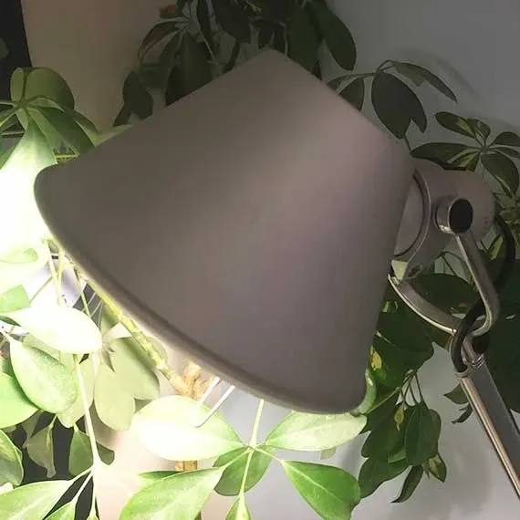 Tolomeo reading floor, Artemide 3