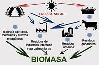 Biomasa