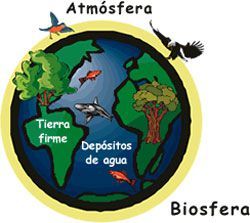 Biosfera