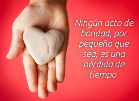 Bondad