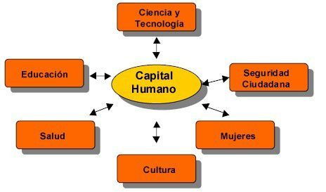 Capital Humano