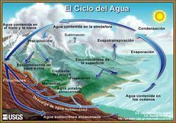 Ciclo