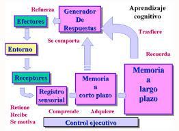 Cognitivo