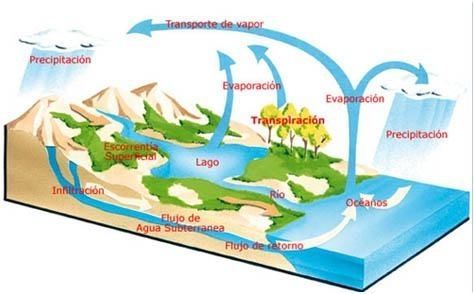 Ecosistema