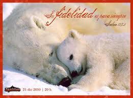 Fidelidad