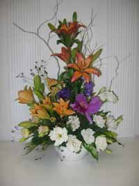 Flores