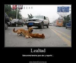 Lealtad