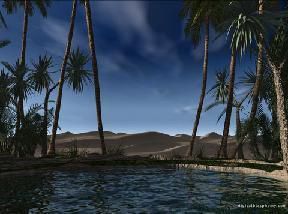 Oasis