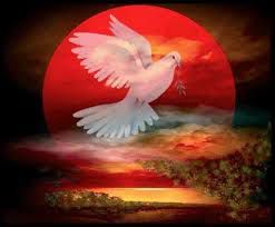 Paz