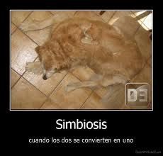 Simbiosis