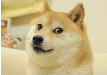 狗狗幣($DOGE)