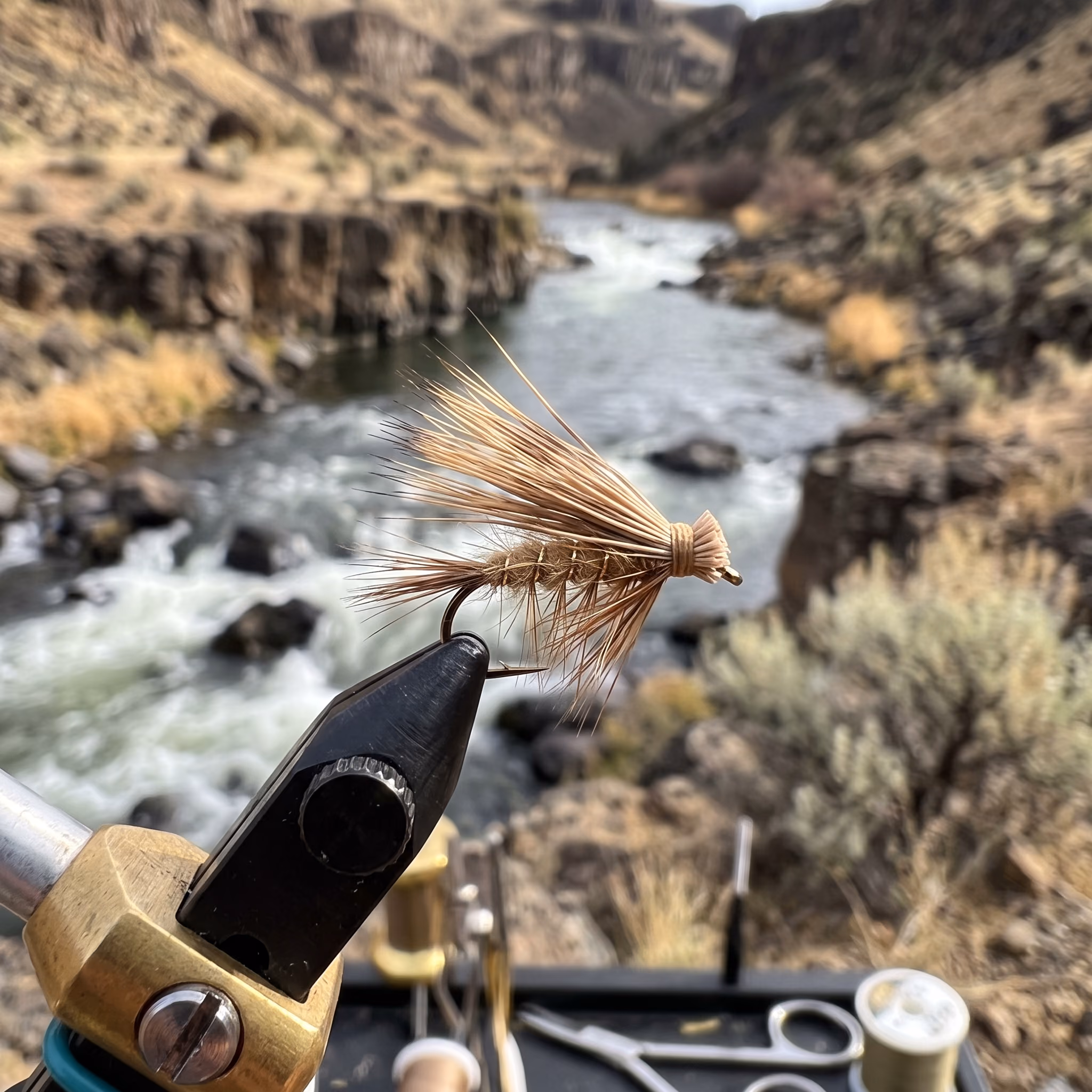 Deschutes Elk Hair Caddis — a fly pattern by Derek Leavitt
