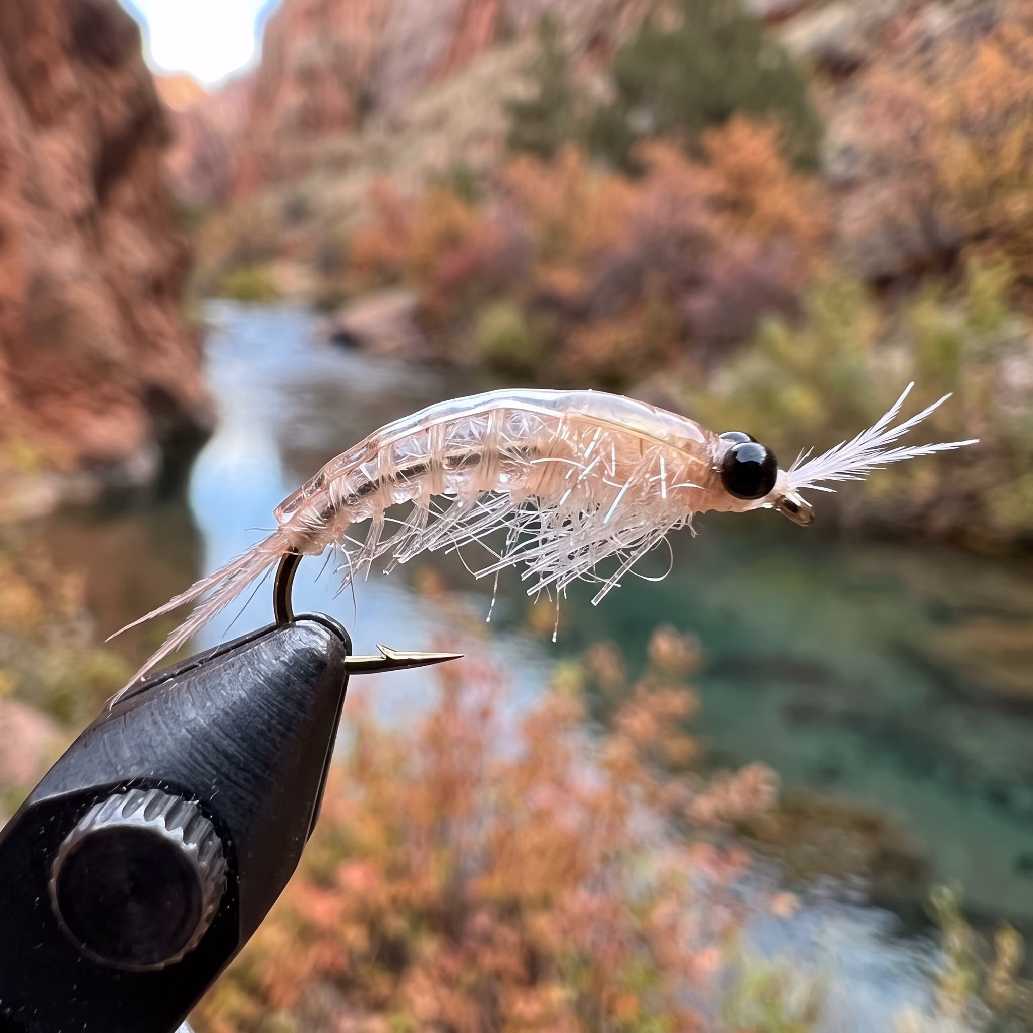 Frying Pan Mysis Shrimp — a fly pattern by John Derek Leavitt