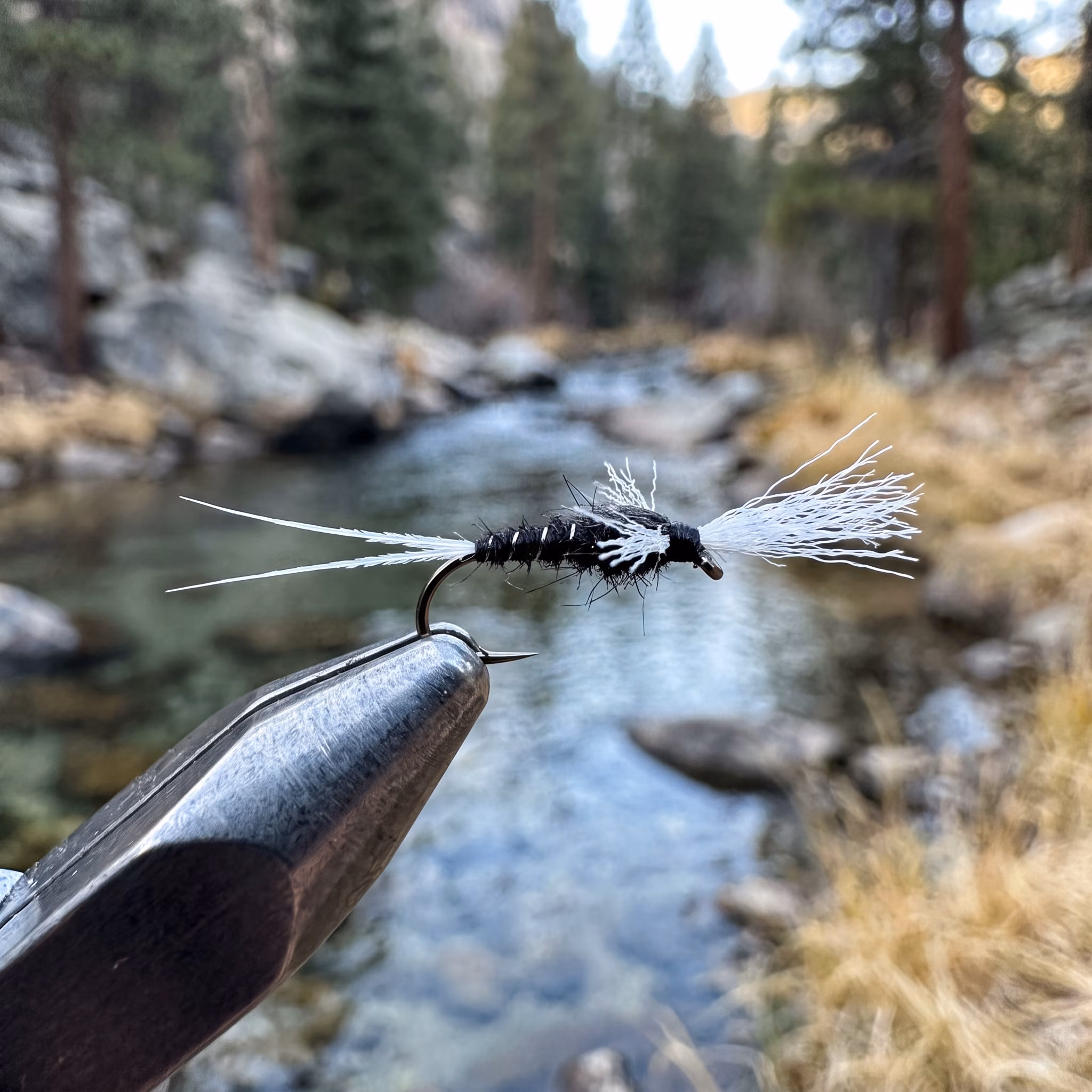 South Platte Trico Spinner — a fly pattern by John Derek Leavitt