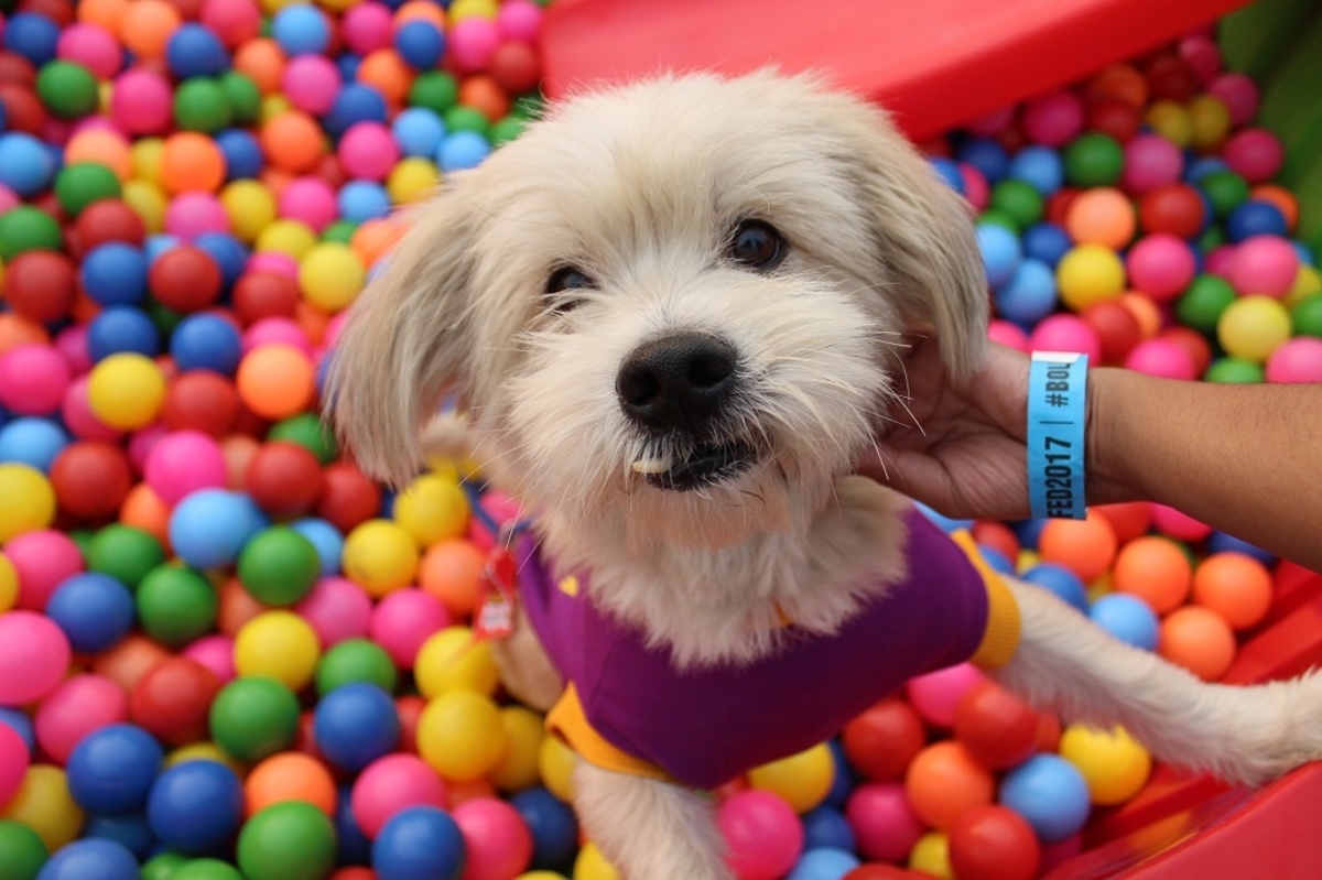 Webp.net-resizeimage (1)