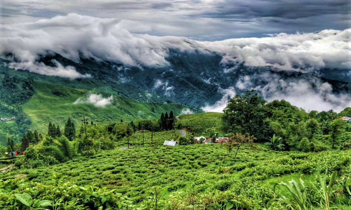 Happy valley Darjeeling